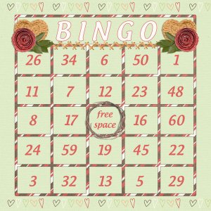 iNSD BINGO Card