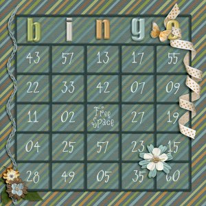 iNSD BINGO Card