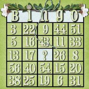 Bingo nsd