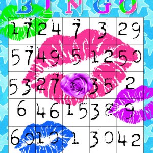 W4E-PrissyBingoCard