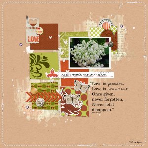 1st mothers day gift from my son