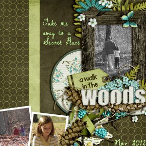 A Walk in the Woods