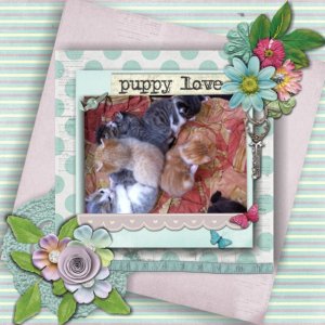 puppy_love5