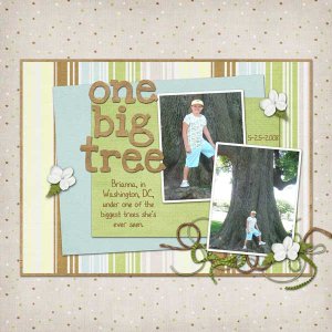 big tree