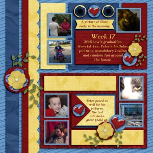 week 17