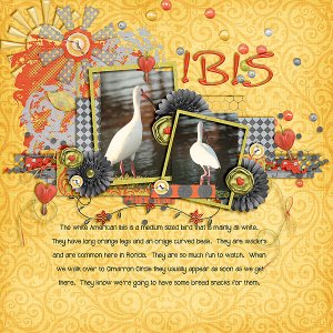 IBIS