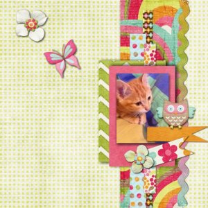 kitty2