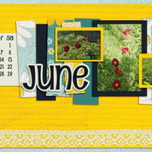May Desktop Challenge