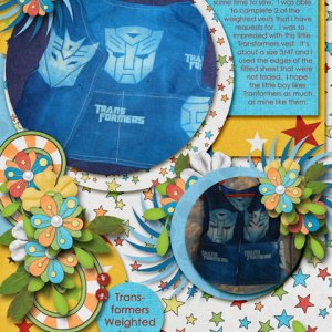 Transformer vest