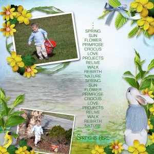 Spring-FunWEB