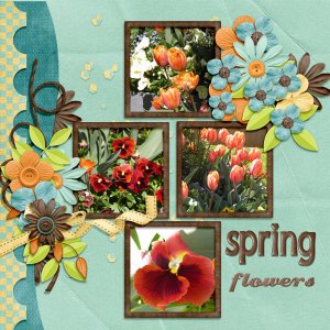 Spring_flowers