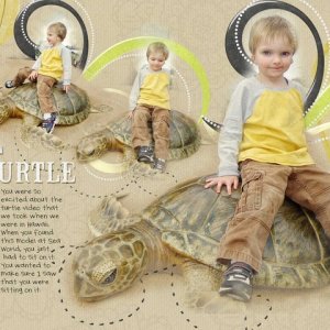 turtle