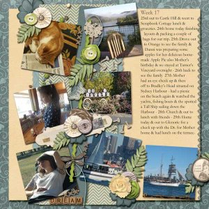 Project_Life_Wk_17
