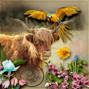 Taurus