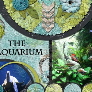The Aquarium