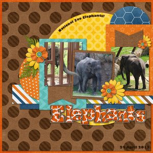 Elephants