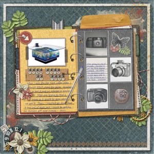 First Digital Camera