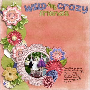 Wild and Crazy Friends