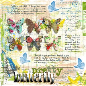 Pretty Butterfly