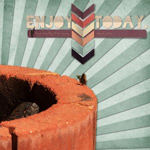 Enjoy Today