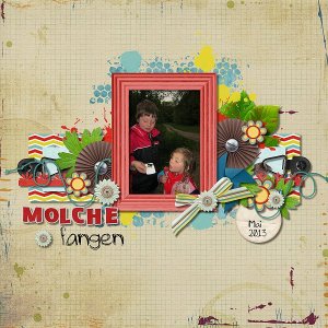 Molche fangen