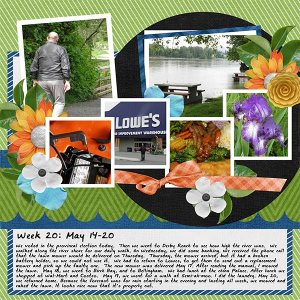 2013_Week-20