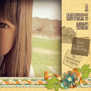 A Mother's Wish