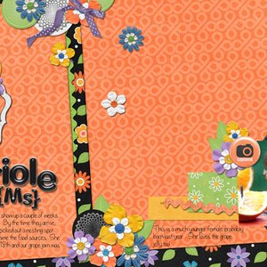 Oriole (Ms.)