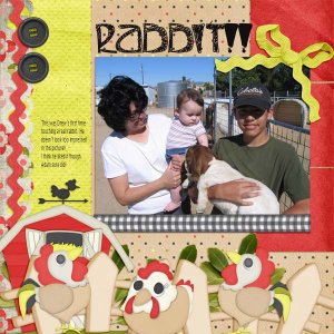 Rabbit