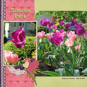 Simcoe Park 1