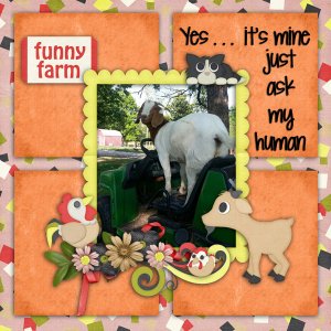 Fun on the farm