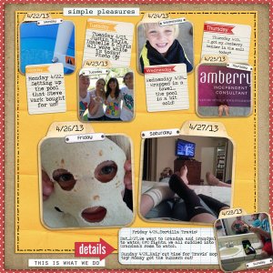 Week 17, 2013