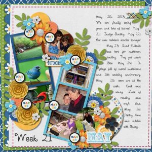 2013, week 21