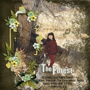 The Forest