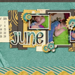 2013 June Desktop