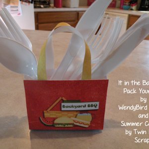 Cookout Bag