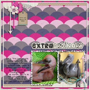 Extra Ordinary