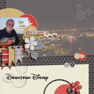 Downtown Disney view and Bill