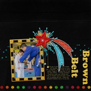 Brown Belt