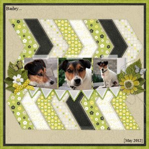 Bailey