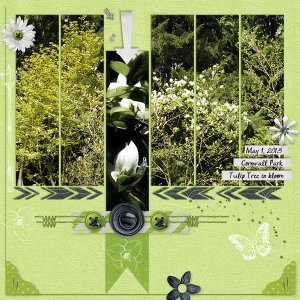 GS_June_WalkBrush