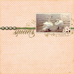 Mute Swans