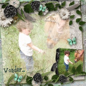 Wonder