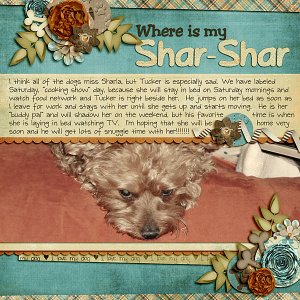 Where is my Shar-Shar