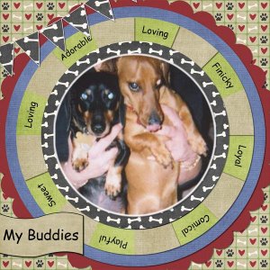 My Buddies