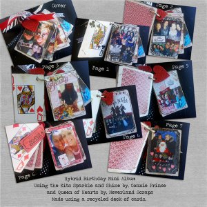 Mini Album Birthday Gift