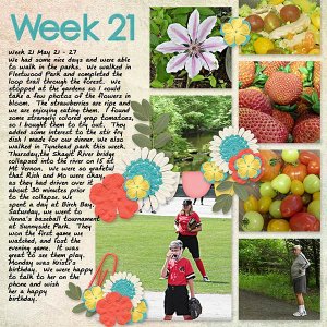 2013_Week21