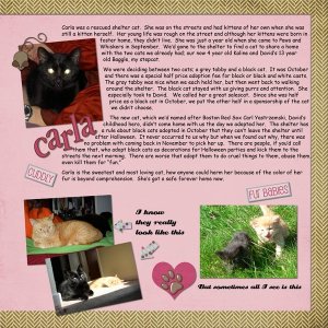 52 topix, Week 22  Cats, page 2