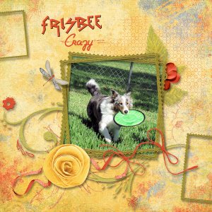 Frisbee Crazy