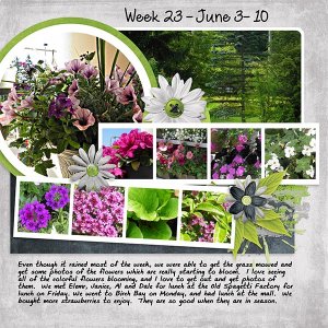 2013_Week23